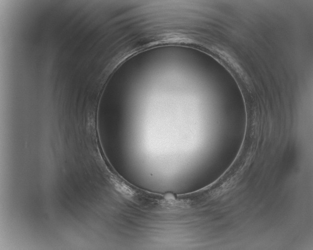 X0000076401281200610061207