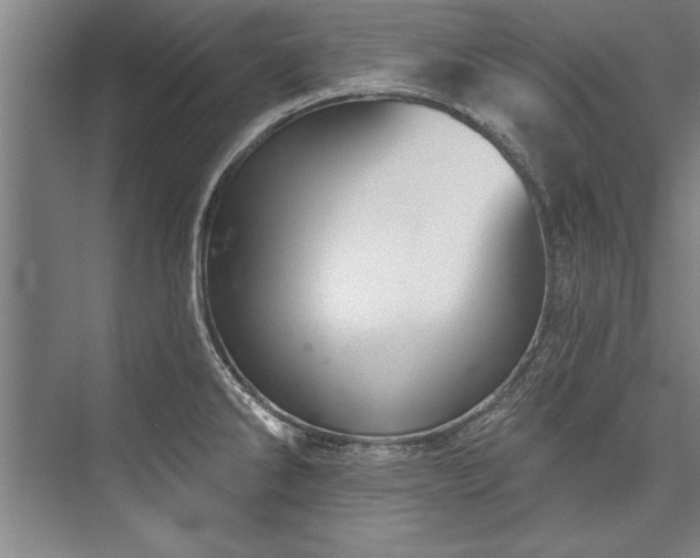 X0000076401286200610061207