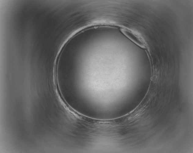 X0000076401295200610061207