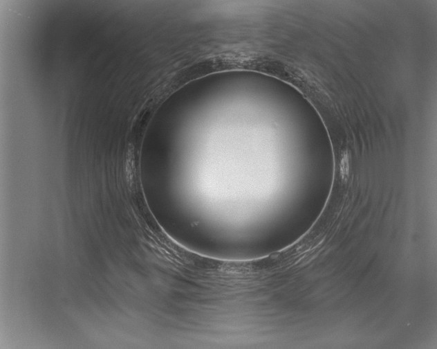 X0000076401299200610061206