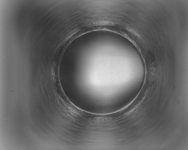 X0000076401305200610061206