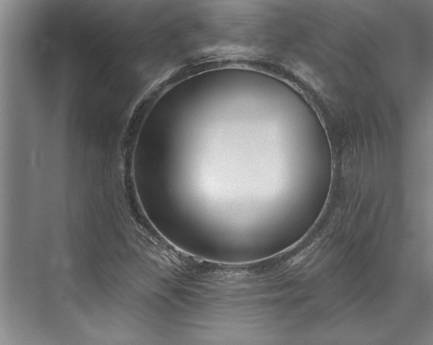 X0000076401309200610061206