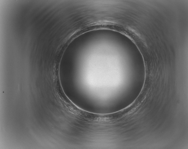 X0000076401313200610061206