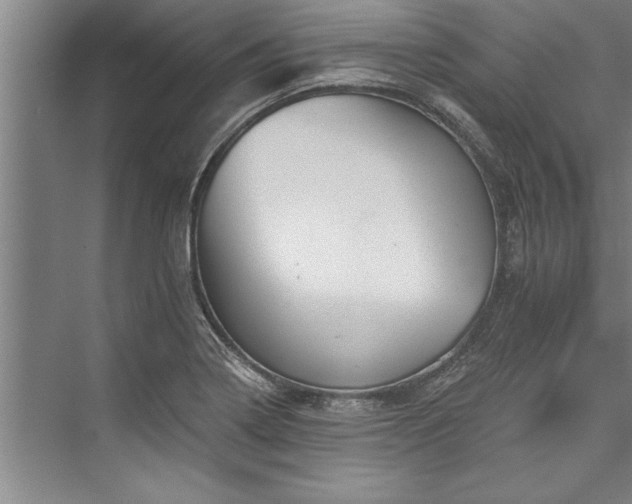 X0000076401322200610061206