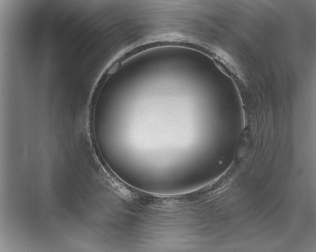 X0000076401326200610061206