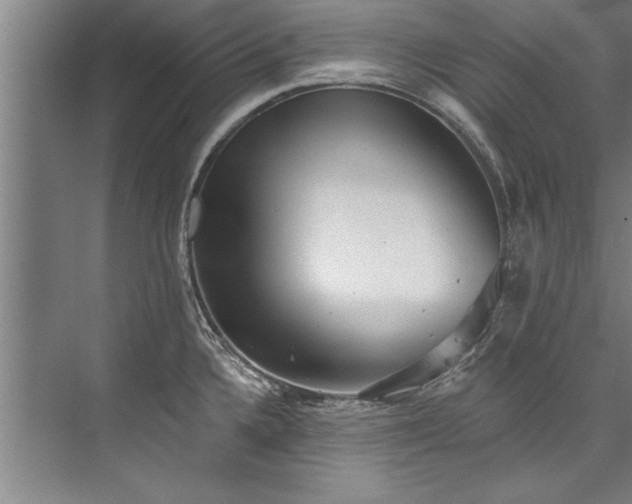 X0000076401336200610061207