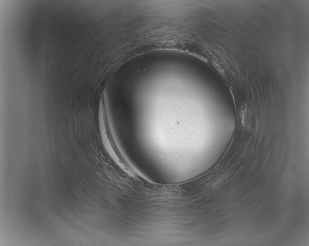 X0000076401347200610061206