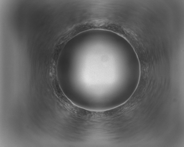 X0000076401349200610061206