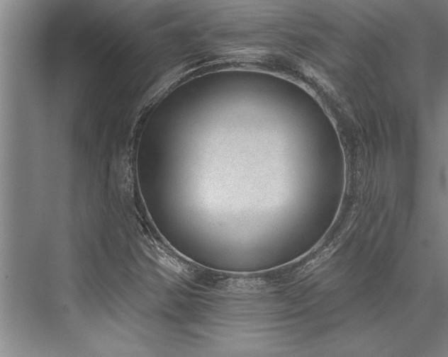 X0000076401354200610061206