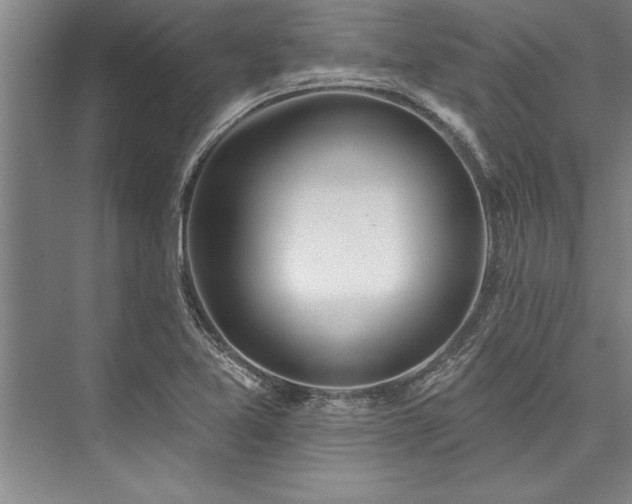 X0000076401365200610061206