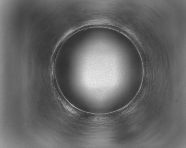 X0000076401366200610061206