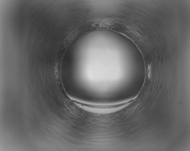 X0000076401395200610061204
