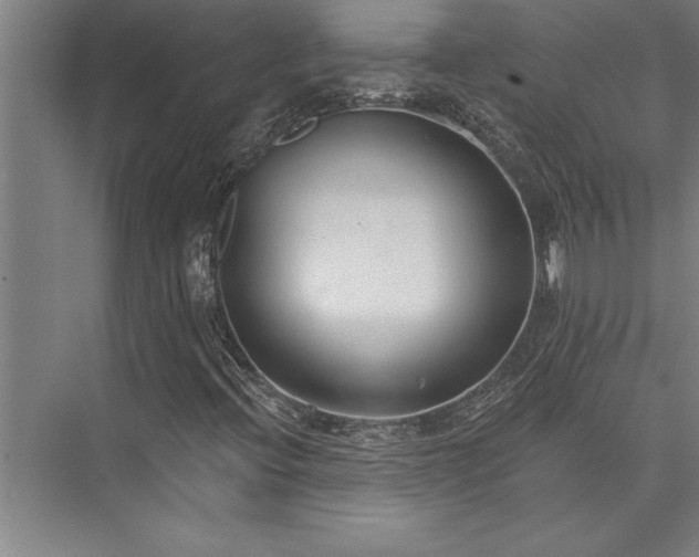 X0000076401396200610061204