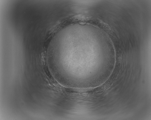 X0000076401397200610061204
