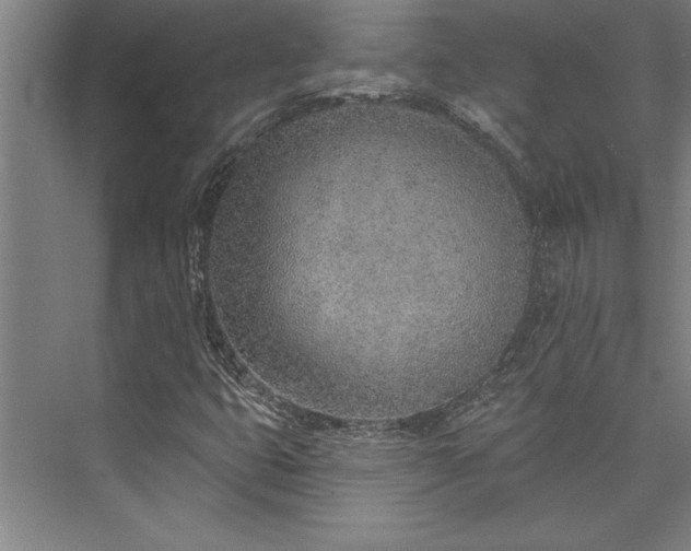 X0000076401399200610061204
