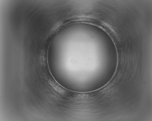 X0000076401403200610061204