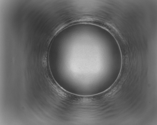 X0000076401409200610061205
