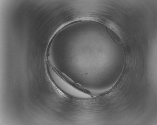 X0000076401428200610061205