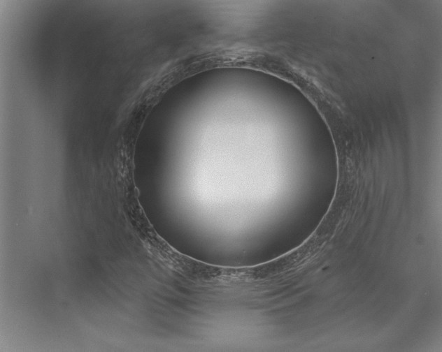 X0000076401447200610061204