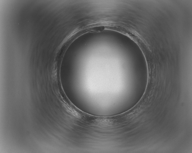 X0000076401450200610061204