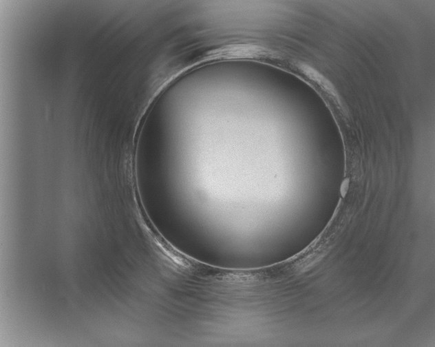X0000076401473200610061204