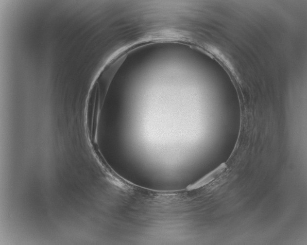 X0000076401477200610061204