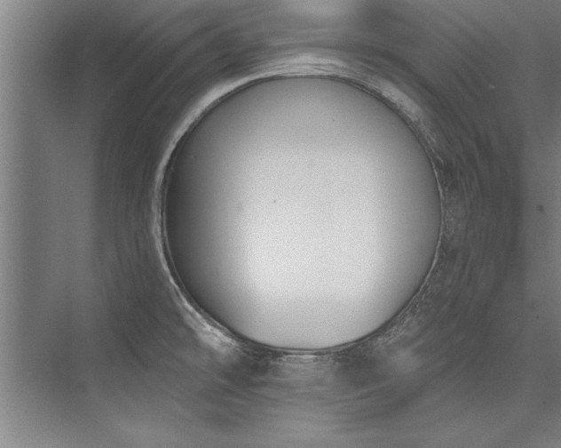 X0000076401478200610061204