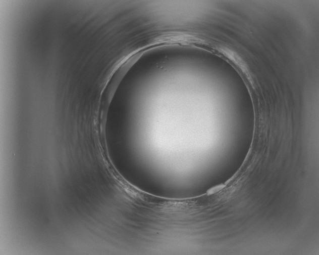 X0000076401481200610061204