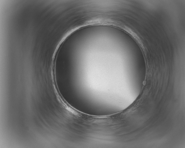 X0000076401486200610061203