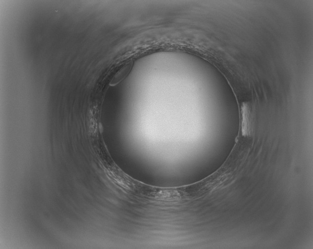 X0000076401491200610061203