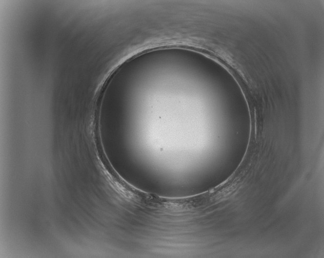 X0000076401500200610061203