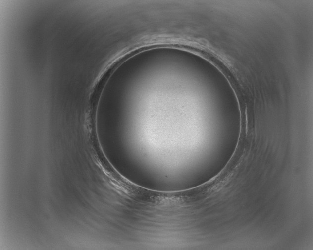 X0000076401501200610061203