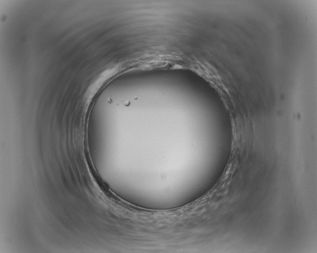 X0000076400003200610161217