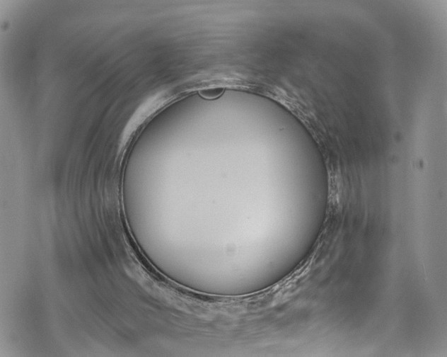 X0000076400004200610161217