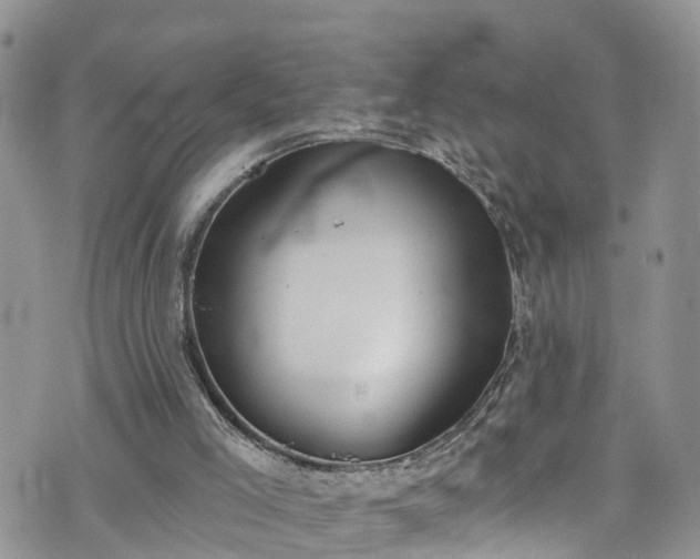 X0000076400005200610161217