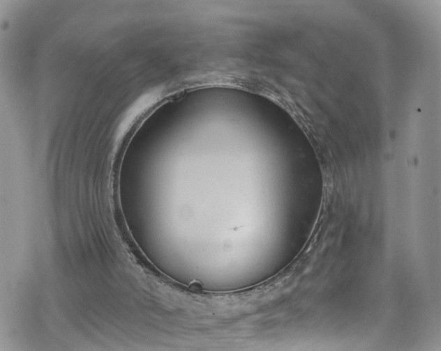 X0000076400006200610161217