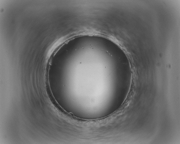 X0000076400007200610161217