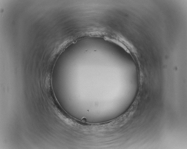 X0000076400009200610161216