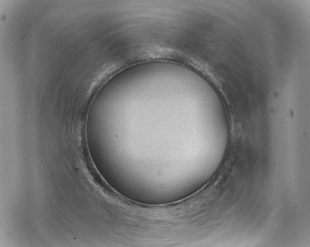 X0000076400010200610161216