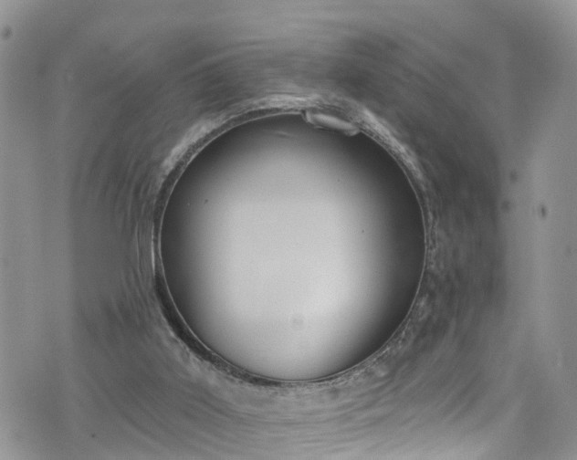 X0000076400011200610161216