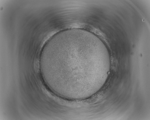 X0000076400012200610161216