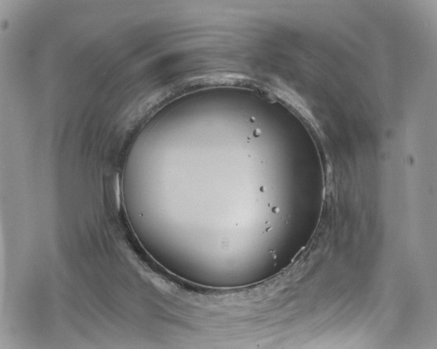 X0000076400013200610161216