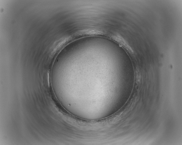 X0000076400014200610161216