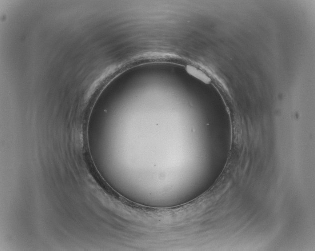 X0000076400015200610161216