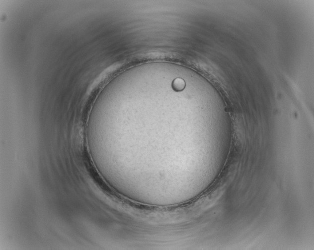 X0000076400016200610161216