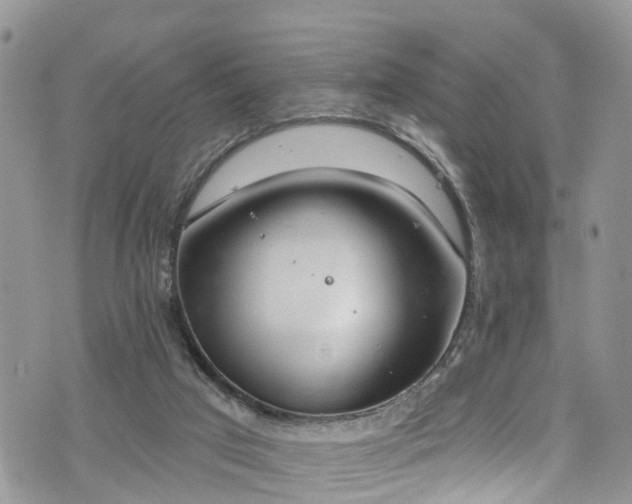 X0000076400017200610161216