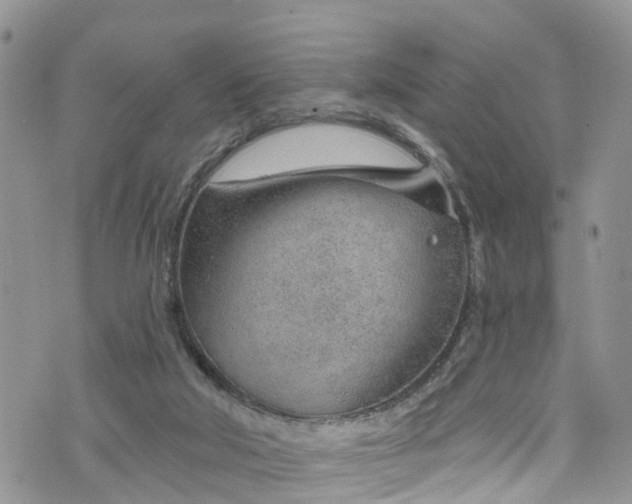 X0000076400018200610161216