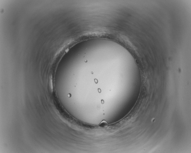 X0000076400020200610161216