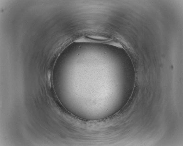 X0000076400022200610161216