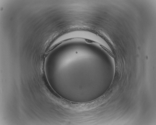 X0000076400023200610161216